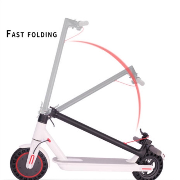 Meet your Posher, Claude - Picture 4 of 4